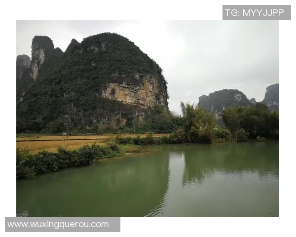 《足球小球星崛起之路：从街头到绿茵场的传奇成长历程》