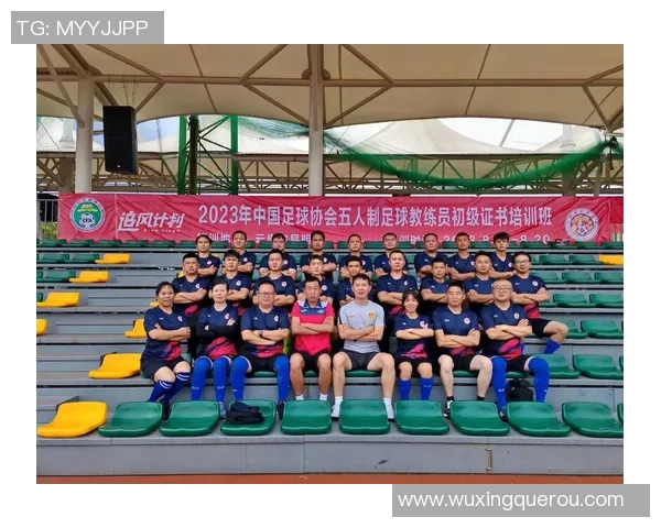 中国足协娃娃足球星级培养体系解析与未来发展趋势探讨