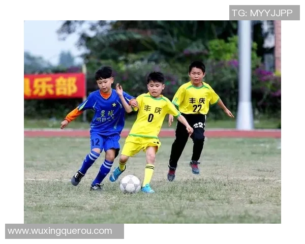 依克萨克传奇足球星的辉煌一生与对足球世界的深远影响