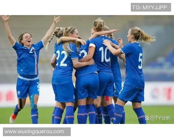 冰岛足球明星球员及其在国际赛场上的崛起与贡献分析 冰岛足球明星球员及其在国际赛场上的崛起与贡献分析