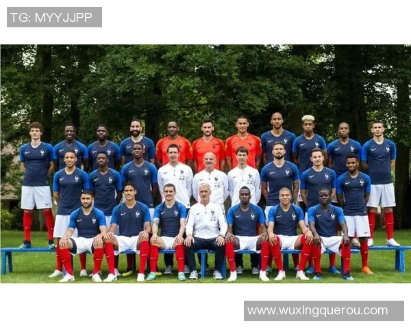 法国足球队球星的成长历程与辉煌成就解析