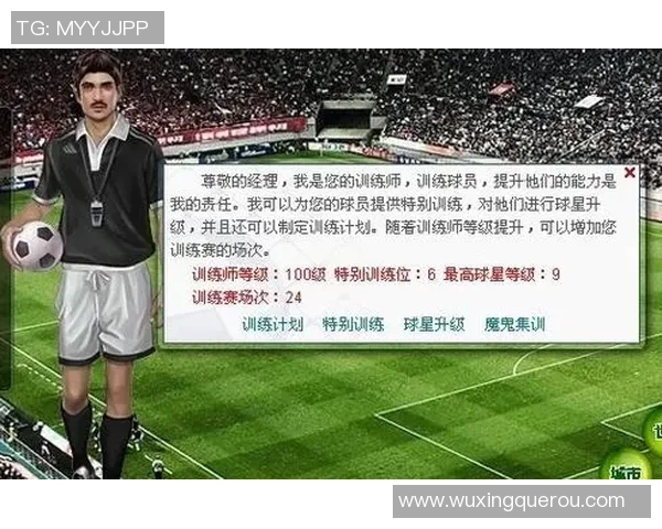 深度测评球星足球品质全面解析带你了解真实体验与使用感受